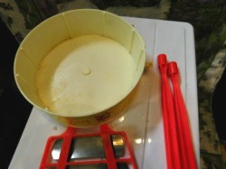 drum xylophone view